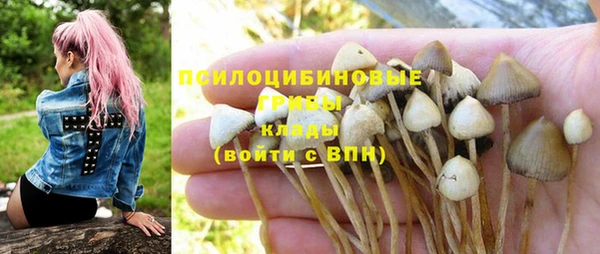 сатива Алексин