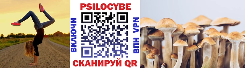 Галлюциногенные грибы Cubensis  KRAKEN зеркало  сайты даркнета какой сайт  даркнет сайт  Анадырь 