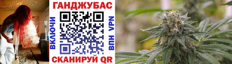 Бошки Шишки план  купить наркоту  Анадырь 